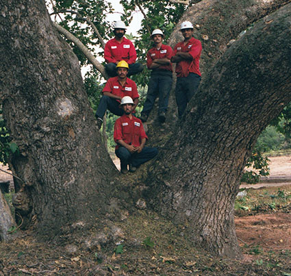 Crew in Sycamore