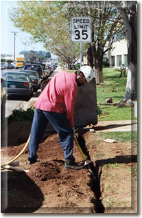 San Diego root cutting